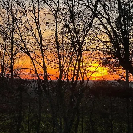 D'hotes L'olivianne 4*